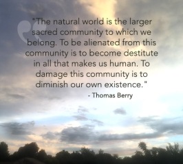 quote_thomasberry_diminished